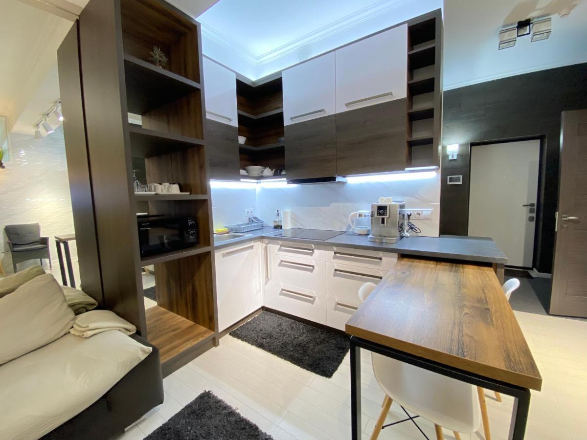 New Double Room Luxury Apartment In The Center キシナウ エクステリア 写真